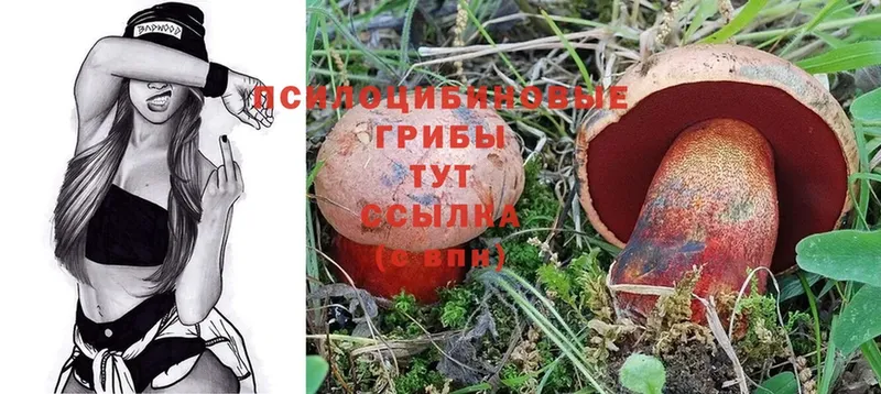 Галлюциногенные грибы Magic Shrooms  Оха 